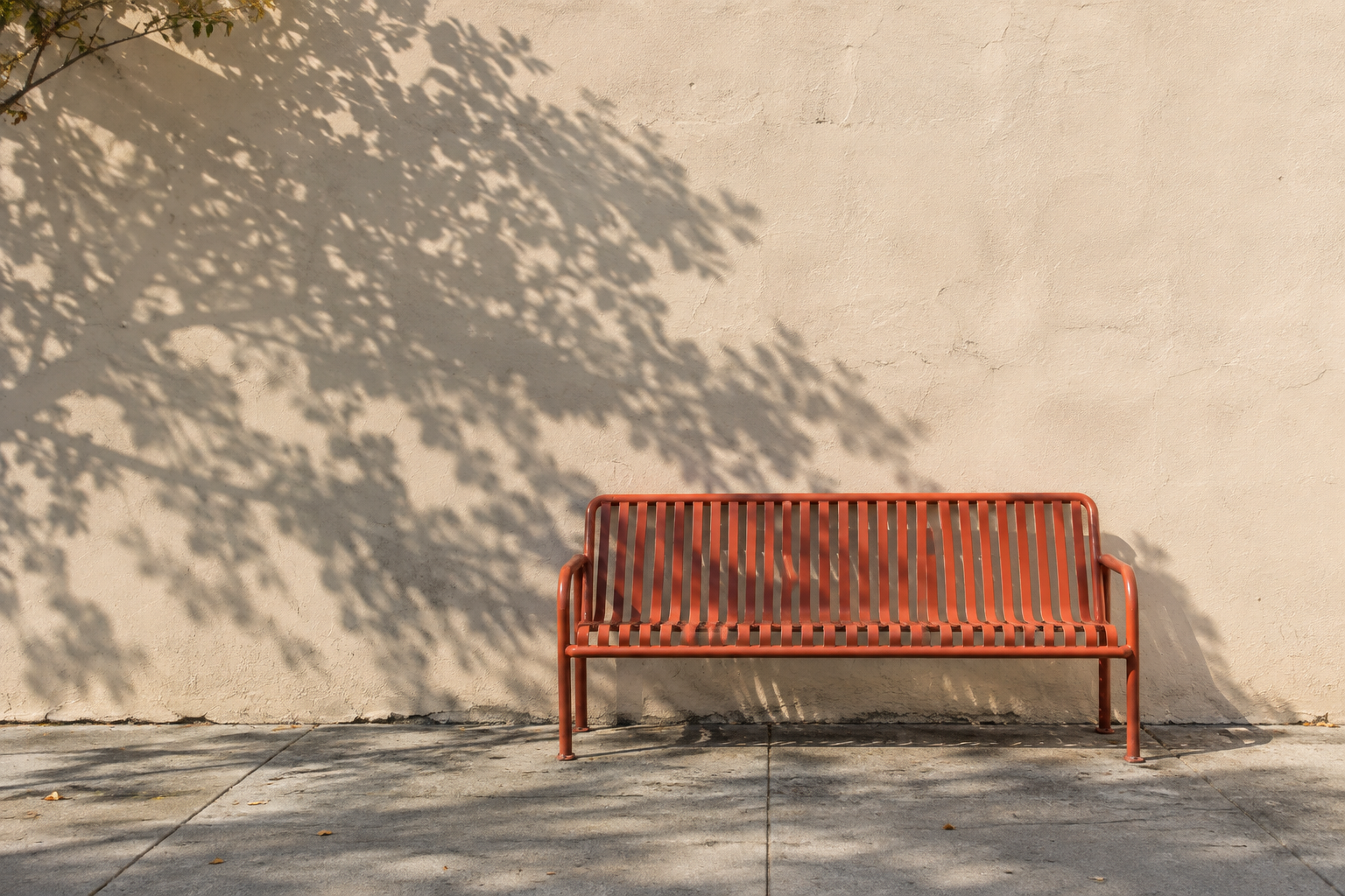 An empty orange bench against a cream wall beneath a branching tree shadow.