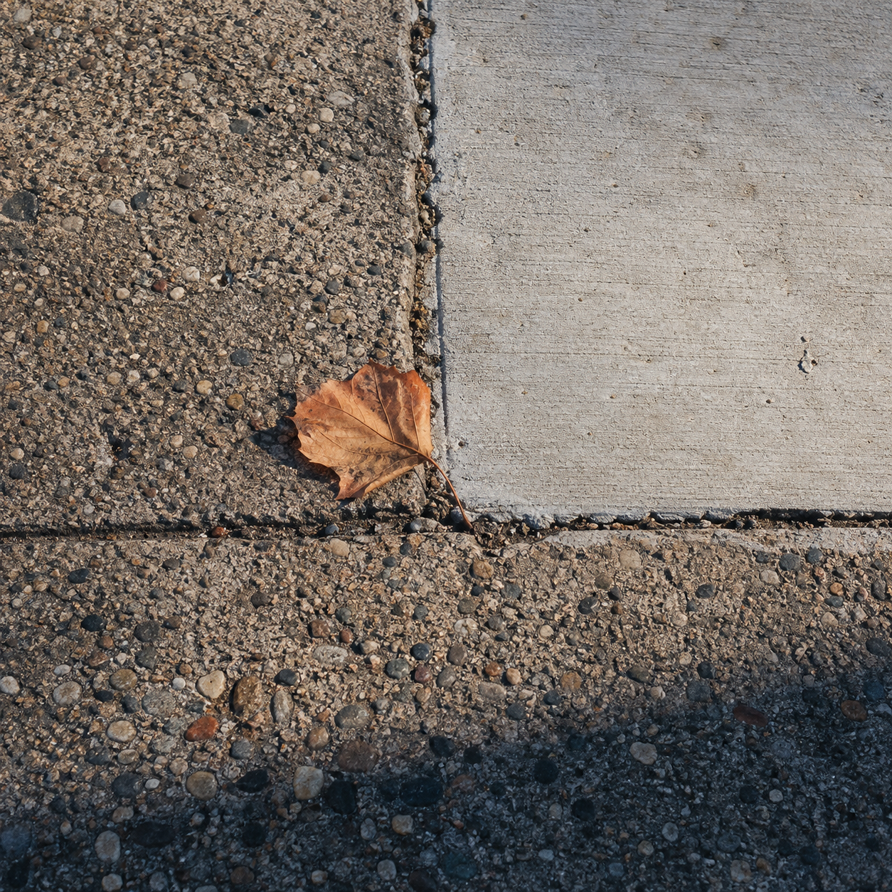 A pale rectangular sidewalk repair meeting rough aggregate, with a dry leaf at the seam.